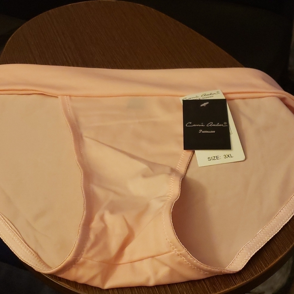 Carrie Amber Intimates Women's High Cut Pink Panty Size 3XL (10) style 3026XP